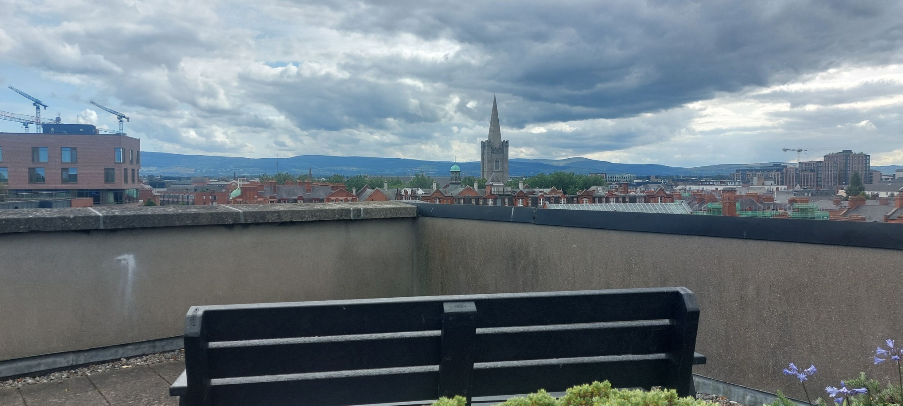 View 8